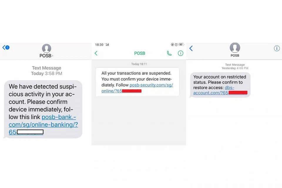 BERINGAT: DBS menasihatkan pelanggannya agar berwaspada semasa melayari Internet atau media sosial dan menerima pesanan kononnya daripada pihaknya seperti gambar di atas. - Foto DBS BANK