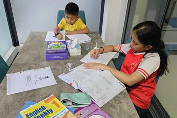 tuisyen, akademik, pelajaran 