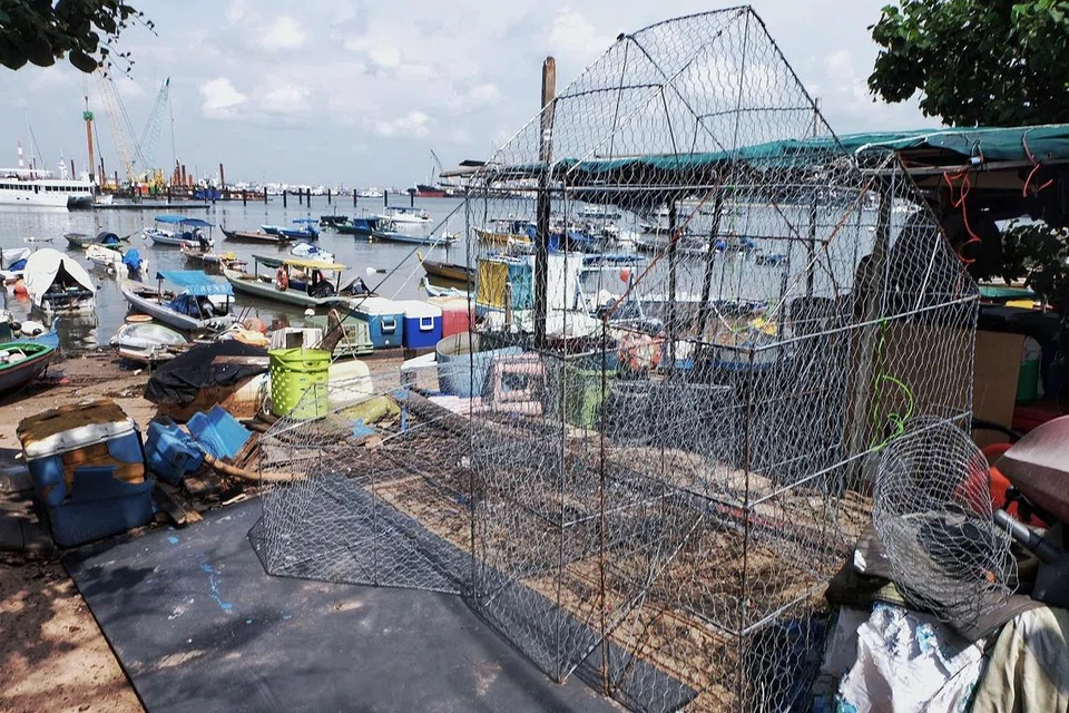 PASANG BUBU: Bubu yang siap dipasang ini diletakkan di dalam laut untuk menjerat ikan. Sama ada mudah dan lebih mencabar ditarik bergantung pada kecenderungan nelayan meletakkannya bubu pada air pasang dalam atau air pasang cetek. 