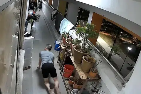 Seorang lelaki merangkak di koridor flat di Yishun dan dilihat mengambil sepasang selipar sebelum meletakannya kembali apabila sedar CCTV merakam perbuatannya. 