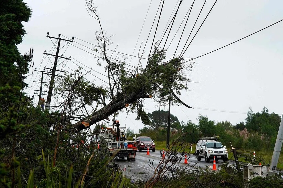 BENCANA ALAM: Pokok tumbang dan talian elektrik terjejas selepas taufan menjejas Kumeu, di pinggir bandar Auckland, New Zealand pada Selasa. 