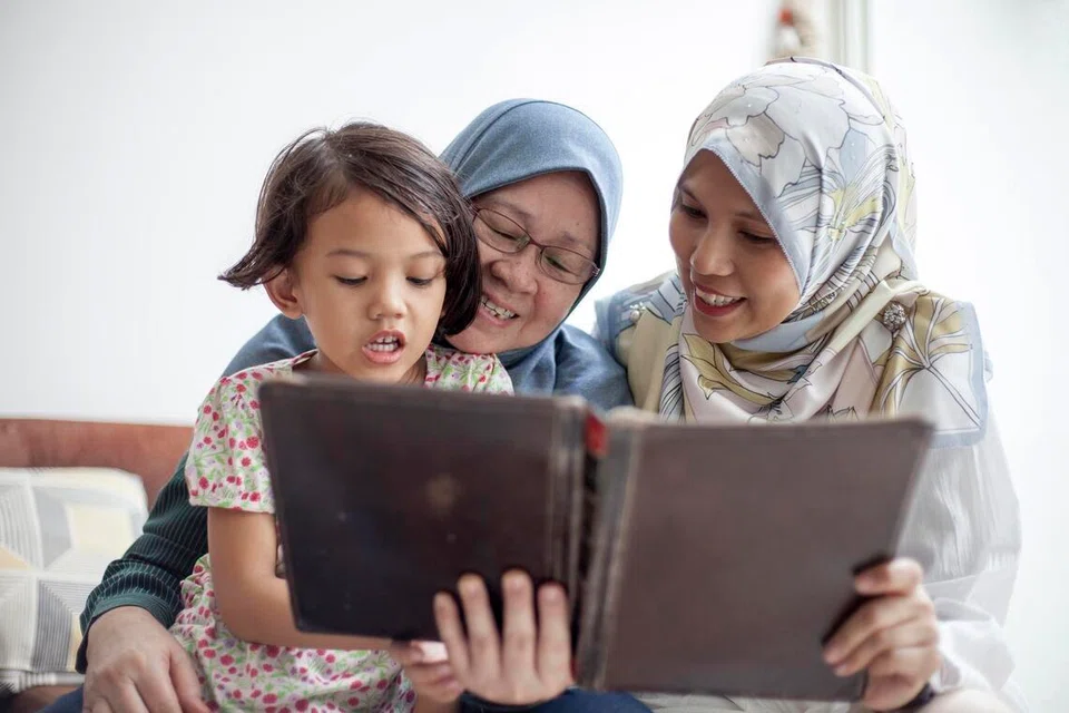 bahasa Melayu, Singapura, terhakis