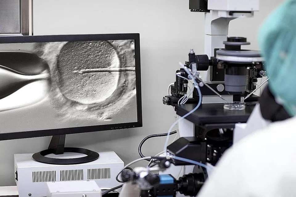 PERSENYAWAAN IN VITRO (IVF): IVF yang sebenarnya bermaksud 'persenyawaan di kaca', sinonim dengan istilah 'bayi tabung uji'. Semasa proses IVF, telur dikeluarkan daripada ovari dan disenyawakan dengan sperma di dalam makmal. Embrio yang terhasil kemudian diletakkan di dalam rahim wanita. - Foto ISTOCKPHOTO