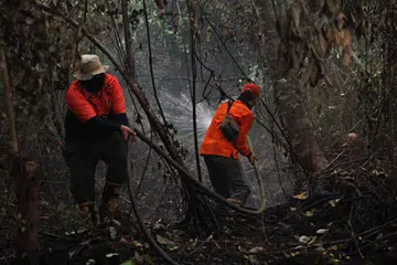 Kalimantan Barat, saman pemerintah Indonesia, kebakaran hutan, jerebu