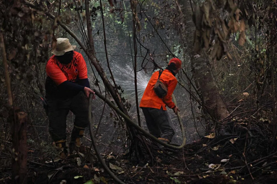Kalimantan Barat, saman pemerintah Indonesia, kebakaran hutan, jerebu