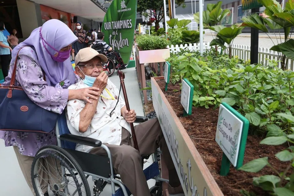 HARUMAN PUDINA: Encik Atan Alias, seorang klien pusat Penjagaan Warga Emas St Andrew's, menikmati harum herba yang ditanam di Kebun Terapeutik Kita di Our Tampines Hub yang dilancarkan semalam. Bersamanya ialah anak beliau, Cik Juriyah Atan. - Foto BM oleh TIMOTHY DAVID