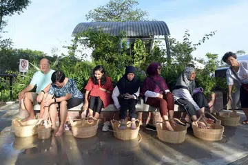 DIBUKA SEMULA: Pengunjung merendam kaki mereka di Taman Mata Air Panas Sembawang yang dibuka semula pada 4 Januari 2020. 