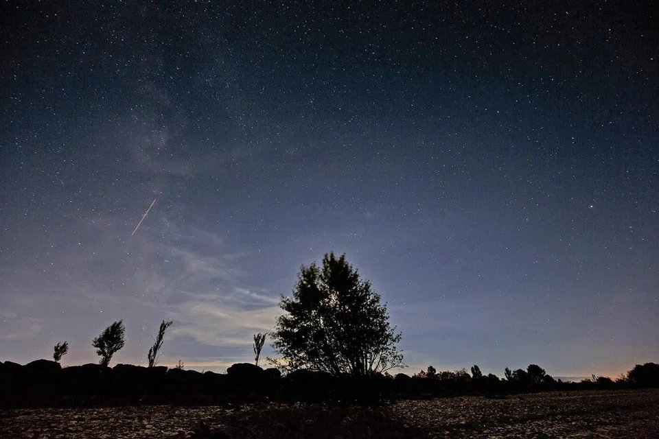 4490cb5e-0e33-4f2d-ab71-7aa4dadbaf25