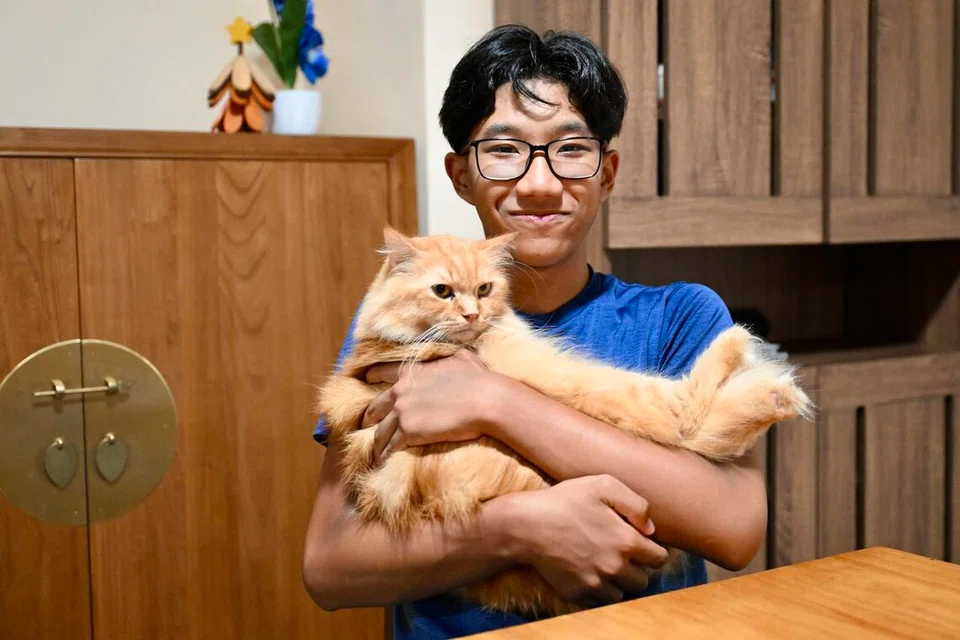 Bagi bekas pesakit barah buah pinggang, Faiz Ihsan Mohamad Sofian, kucing comel peliharaannya bertindak sebagai penyembuh duka. Sesi interaksi bersama haiwan peliharaan itu berupaya meredakan rasa sakit dan muntah ekoran kesan sampingan kemoterapi yang meragut masa kecilnya suatu ketika dahulu.