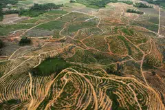 helikopter hilang Indonesia, Matthew Air Nusantara, Kalimantan Barat, SAR Indonesia, I Made Junetra, keselamatan penerbangan Indonesia, nahas helikopter Borneo.