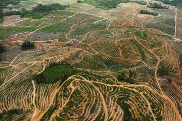 helikopter hilang Indonesia, Matthew Air Nusantara, Kalimantan Barat, SAR Indonesia, I Made Junetra, keselamatan penerbangan Indonesia, nahas helikopter Borneo.