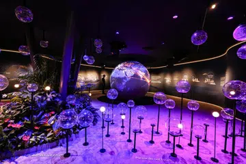 LAPANGAN TERBANG MASA HADAPAN: Pameran ‘T5 In the Making’ akan berlangsung sehingga Mac di dewan ketibaan Terminal 3 dan menampilkan reka bentuk dan inovasi Terminal 5 (T5) Lapangan Terbang Changi.