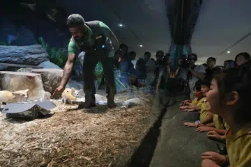 kanak-kanak, prasekolah, tidak hantar