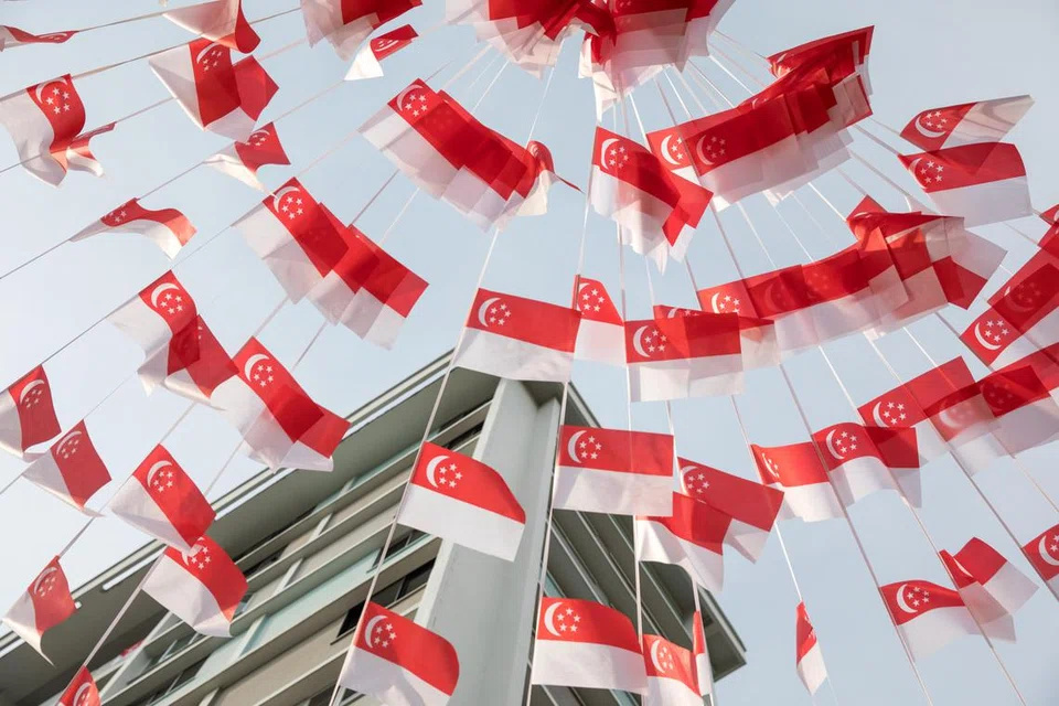 Seorang lelaki sedang disiasat atas tindakan nakal atas kerosakan hiasan sambutan Hari Kebangsaan.