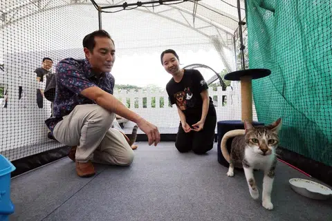 BERITA YANG DITUNGGU-TUNGGU:  Satu rangka kerja pengurusan kucing telah diumumkan oleh (kiri) Menteri Negara Kanan (Perhubungan dan Penerangan merangkap Pembangunan Negara), Encik Tan Kiat How yang apabila diluluskan pada lewat 2024, membenarkan setiap isi rumah HDB memelihara sehingga dua ekor kucing, tertaklu pada syarat tertentu.