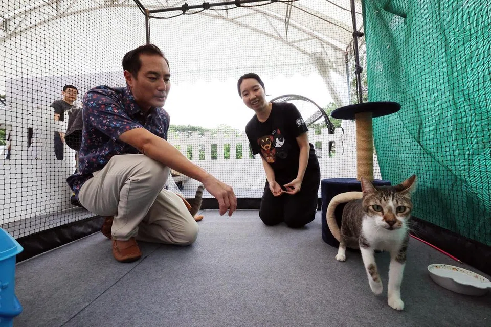 BERITA YANG DITUNGGU-TUNGGU:  Satu rangka kerja pengurusan kucing telah diumumkan oleh (kiri) Menteri Negara Kanan (Perhubungan dan Penerangan merangkap Pembangunan Negara), Encik Tan Kiat How yang apabila diluluskan pada lewat 2024, membenarkan setiap isi rumah HDB memelihara sehingga dua ekor kucing, tertaklu pada syarat tertentu.