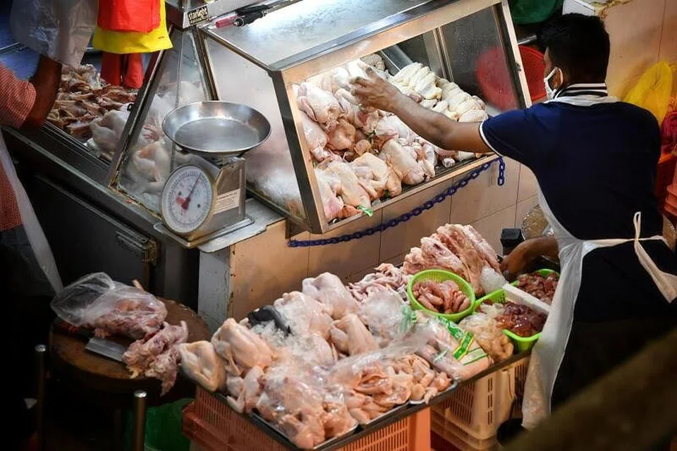 Ayam adalah daging yang paling banyak dimakan di Singapura, dengan pengambilan per kapita sebanyak 36 kilogram pada 2020, menurut data dari Agensi Makanan Singapura. Singapura mengimport lebih satu pertiga daripada bekalan ayamnya dari Malaysia.