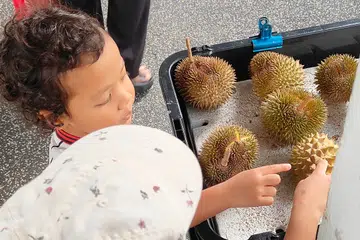 Penulis mengingatkan anak lelakinya, Hamzah Mohammad Hanafi, bahawa dia tidak boleh menyentuh bahagian peribadi orang lain, dan orang lain pun tidak boleh menyentuh bahagian peribadinya.