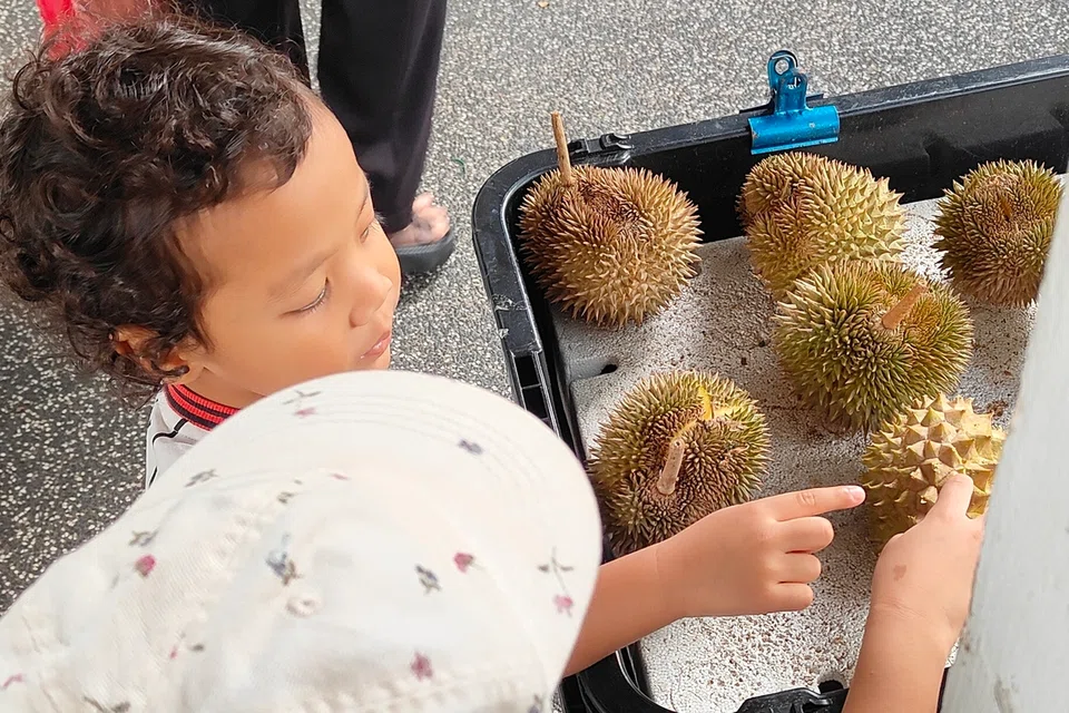 Penulis mengingatkan anak lelakinya, Hamzah Mohammad Hanafi, bahawa dia tidak boleh menyentuh bahagian peribadi orang lain, dan orang lain pun tidak boleh menyentuh bahagian peribadinya.