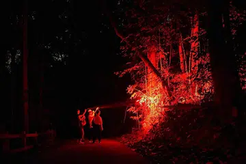 LAMPU MERAH: Kakitangan daripada NParks meninjau hidupan liar malam di Hutan Simpan Bukit Timah. Cahaya merah kurang mengganggu haiwan malam berbanding cahaya putih kerana mata mereka kurang sensitif terhadap cahaya merah yang mempunyai gelombang yang lebih panjang - Foto BH oleh MARK CHEONG. 