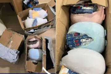 Kastam Singapura menemui tujuh bungkusan rokok yang disembunyikan dalam anak patung lembut kanak-kanak yang diisytiharkan sebagai ‘barang perhiasan’ semasa operasi dua hari dari 22 hingga 23 Oktober 2024.