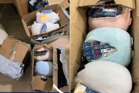 Kastam Singapura menemui tujuh bungkusan rokok yang disembunyikan dalam anak patung lembut kanak-kanak yang diisytiharkan sebagai ‘barang perhiasan’ semasa operasi dua hari dari 22 hingga 23 Oktober 2024.