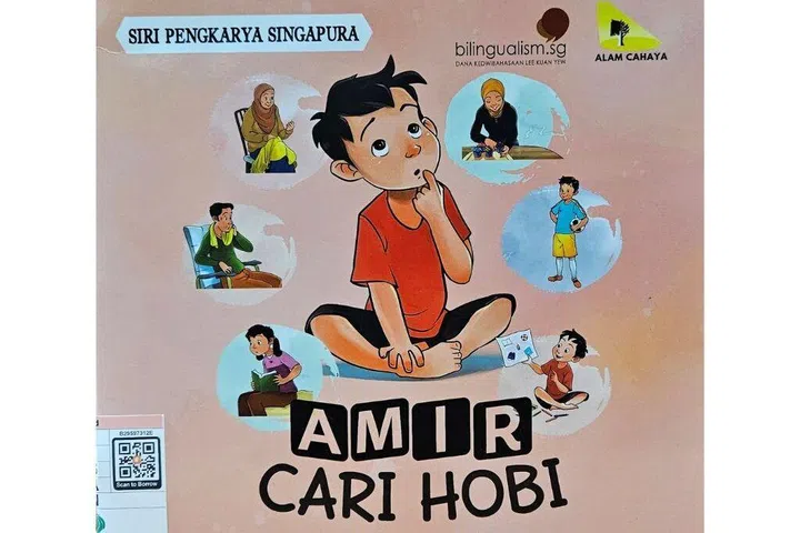 Amir Cari Hobi, NLB, hobi