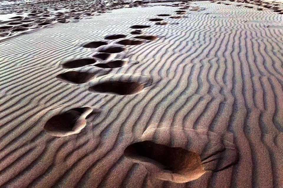 BAGAI JEJAKI SAHARA: Padang pasir dengan beting pasir putih di Mui Ne ini menakjubkan pandangan mata meskipun tiada unta seperti di padang pasir Sahara, Afrika.