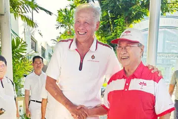 Tan Cheng Bock, Ng Eng Hen, PAP