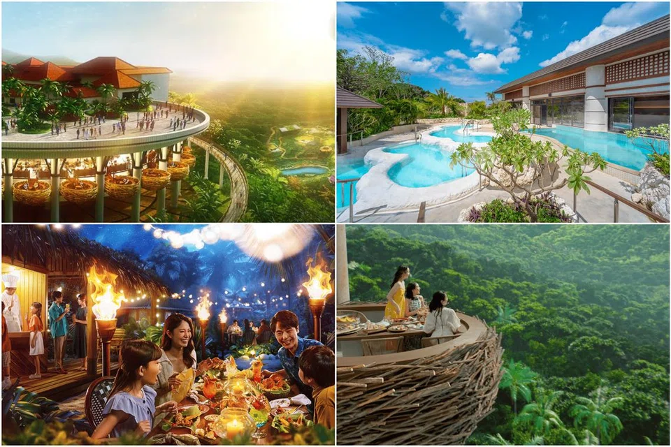 Junglia dijadual dibuka pada 25 Julai.