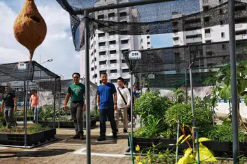 SEKITARAN LEBIH HIJAU: Menteri Pembangunan Negara, Encik Desmond Lee, telah mengunjungi dan meninjau taman peruntukan di Blok 673 Jurong West Street 65 pada Ahad.