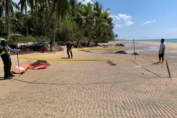 Mayat kanak-kanak tanpa kepala dan tangan kanan ditemui penduduk kampung selepas diheret buaya dalam kejadian di sebuah pantai di Sabah.