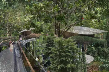 PENGINAPAN DEKATI ALAM SEMULA JADI: Ilustrasi seni bina laluan tinggi di resort baru yang terletak di tengah-tengah lima taman hidupan liar di Mandai. - Foto MANDAI PARK HOLDINGS