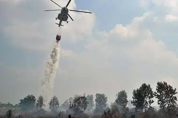 Ketua Agensi Alam Sekitar dan Perhutanan Riau, Cik Yulwiriati Moesa, berkata keadaan kebakaran di beberapa daerah di Riau telah dilaporkan kepada Riau Gabenor dengan harapan ia dikemukakan kepada Kementerian Alam Sekitar dan Perhutanan Indonesia bagi tindakan lanjut. Cik Yulwiriati berkata pengeboman air seolah-olah diperlukan untuk memadamkan api. 