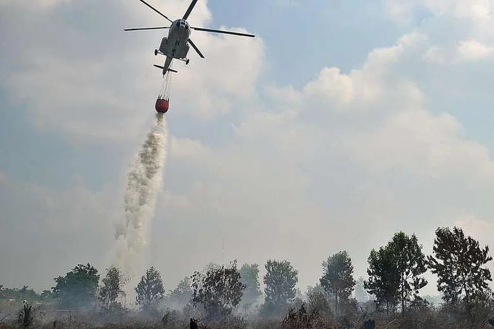Ketua Agensi Alam Sekitar dan Perhutanan Riau, Cik Yulwiriati Moesa, berkata keadaan kebakaran di beberapa daerah di Riau telah dilaporkan kepada Riau Gabenor dengan harapan ia dikemukakan kepada Kementerian Alam Sekitar dan Perhutanan Indonesia bagi tindakan lanjut. Cik Yulwiriati berkata pengeboman air seolah-olah diperlukan untuk memadamkan api. 