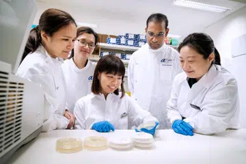 Kumpulan penyelidik yang terdiri daripada (dari kiri) Dr Chayaporn Suphavilai, Cik Lim Kar Mun, Cik Tan Mei Gie, Profesor Madya Niranjan Nagarajan and Dr Karrie Ko sedang memeriksa kultur kulat Candida auris.