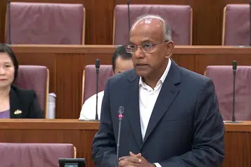 Model klasifikasi Cina-Melayu-India-Lain-Lain (CMIO) telah berfungsi dengan baik untuk Singapura, dan menghapuskannya mungkin boleh membawa kesan lebih buruk, kata Menteri Ehwal Dalam Negeri merangkap Undang-Undang, Encik K. Shanmugam.