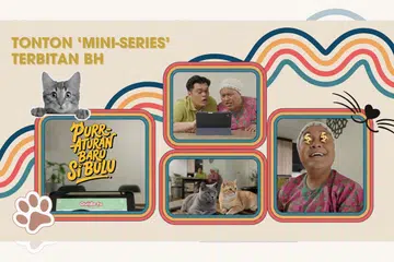 Sebanyak empat-episod dan bertajuk ‘Purr-Aturan’ Baru si Bulu, mini-series bagi meningkatkan kesedaran mengenai perlunya pemilik kucing memasang mikrocip dan mendapatkan lesen bagi haiwan peliharaan mereka diterbitkan BH dengan kerjasama Perkhidmatan Haiwan dan Veterinar (AVS).