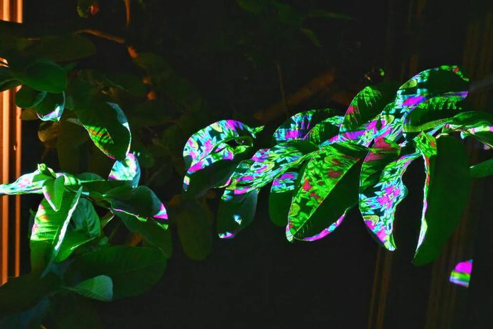 KERJA KREATIF: ‘Rimbun’ oleh Shakir (a.k.a Grasshopper) menawarkan pancaran lampu yang terdapat pada dedaun bermotif batik dan juga ukiran kayu.