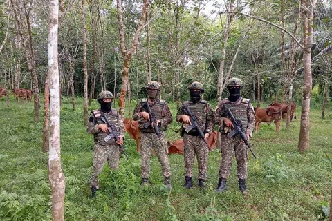 Anggota Tentera Darat Malaysia (TDM) mematahkan usaha penyeludupan 12 ekor lembu bernilai RM60,000 di tebing Sungai Golok, sempadan Malaysia-Thailand. 