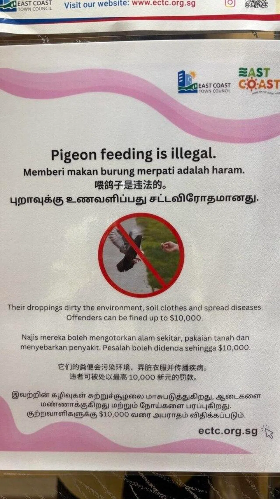 Poster yang memberi amaran bahawa penduduk tidak boleh berikan makan kepada burung merpati dalam lif.