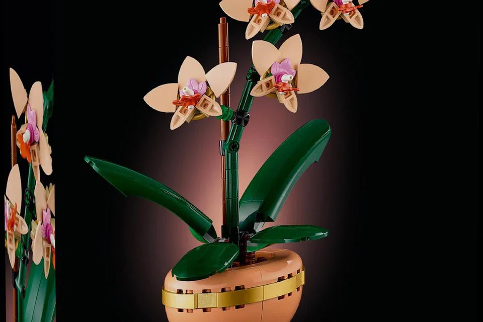 LEGO® Botanical.