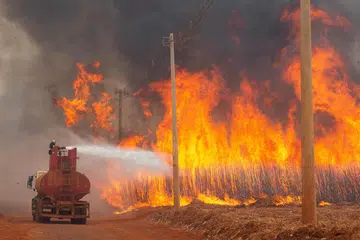 Anggota bomba bekerja keras  memadamkan api yang membaham ladang tebu dekat bandar Dumon, Brazil, pada 24 Ogos.