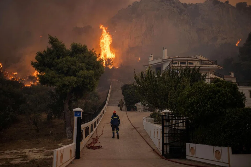 LAWAN API: Anggota bomba dan relawan bertungkus-lumus cuba menangani kebakaran hutan dekat bandar Hasia, berhampiran Athens, Greece.