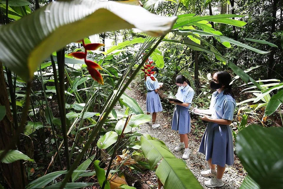 KURANG PELEPASAN KARBON: Program Teraju Eko diumumkan Menteri Pendidikan Encik Lawrence Wong dari peringkat sekolah rendah hingga pra-universiti diharap dapat kurangkan pelepasan karbon sebanyak dua pertiga dari sekolah menjelang 2030. - Foto fail