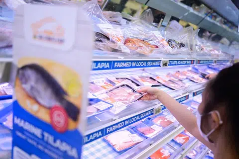 Satu cadangan untuk mengumpulkan dan membekalkan hasil tempatan kepada penjaja bagi membantu mewujudkan permintaan yang boleh “diramal dan tekal” untuk petani boleh diteroka oleh Persekutuan Perniagaan Agro-Makanan Singapura (Safef) dan ladang tempatan, kata Menteri Negara Kanan (Kemampanan dan Sekitaran) Encik Koh Poh Koon.