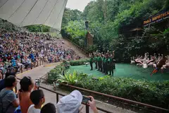TUTUP SEPENUHNYA: Persembahan bertajuk 'High Flyers' di Pools Amphitheatre di Taman Burung Jurong, ditunjukkan buat kali terakhir semalam sebelum ia ditutup sepenuhnya dan dipindahkan ke rumah baru di Mandai Wildlife Reserve. - Foto BH oleh JASON QUAH