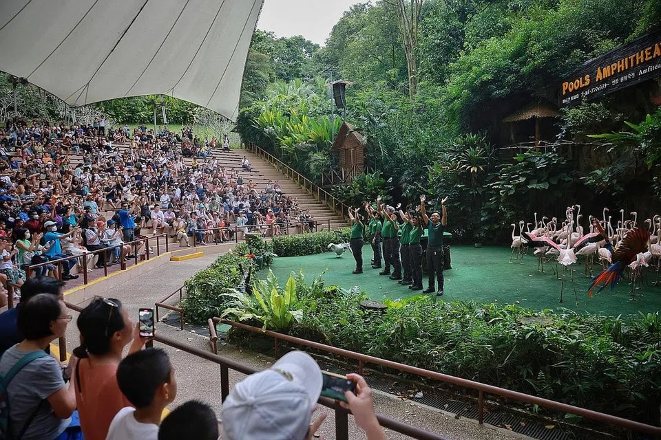 TUTUP SEPENUHNYA: Persembahan bertajuk 'High Flyers' di Pools Amphitheatre di Taman Burung Jurong, ditunjukkan buat kali terakhir semalam sebelum ia ditutup sepenuhnya dan dipindahkan ke rumah baru di Mandai Wildlife Reserve. - Foto BH oleh JASON QUAH