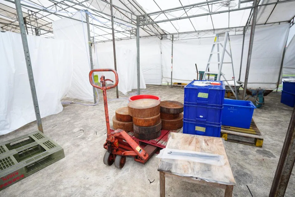 Persiapan sudah dimulakan di Muhammadiyah Kindergarten untuk acara korban 17 Jun.