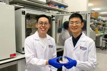 Penolong Profesor Andy Tay (kiri), dan Dr Le Zhicheng ialah sebahagian daripada pasukan penyelidik Universiti Nasional Singapura (NUS) yang membangunkan jarum mikro untuk mengatasi punca keradangan berterusan dalam luka kencing manis.